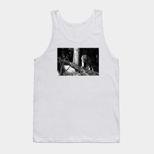 Year of the tiger 2022/6 /  Swiss Artwork Photography Tank Top